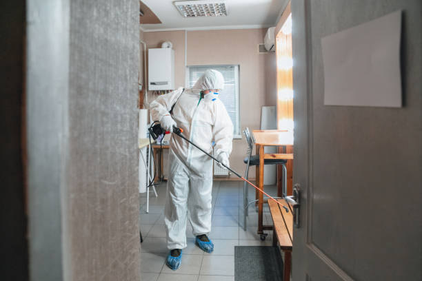 Prosperity, SC Mold Removal Company