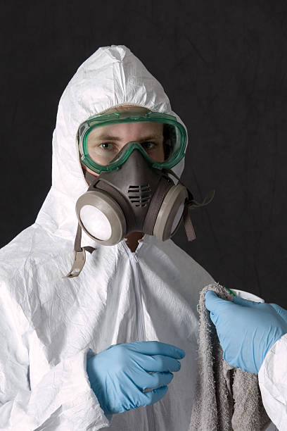 Mold Odor Removal Services in Prosperity, SC